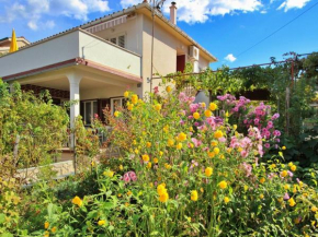 Apartments Dragica